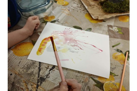 Warsztaty edukacyjno-przyrodnicze dla dzieci „Tajemnica kolorowych roślin”