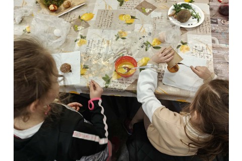 Warsztaty edukacyjno-przyrodnicze dla dzieci „Tajemnica kolorowych roślin”