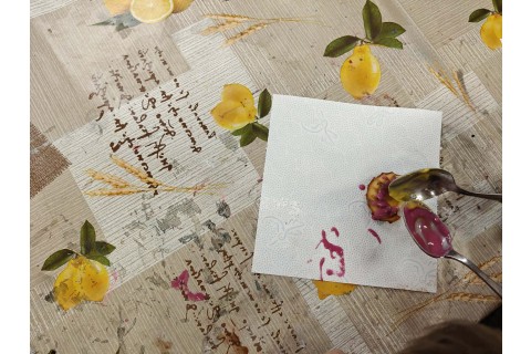 Warsztaty edukacyjno-przyrodnicze dla dzieci „Tajemnica kolorowych roślin”