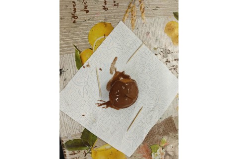 Warsztaty edukacyjno-przyrodnicze dla dzieci „Tajemnica kolorowych roślin”