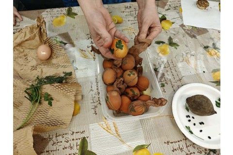 Warsztaty edukacyjno-przyrodnicze dla dzieci „Tajemnica kolorowych roślin”