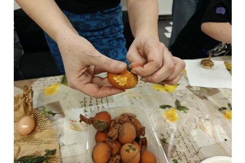 Warsztaty edukacyjno-przyrodnicze dla dzieci „Tajemnica kolorowych roślin”