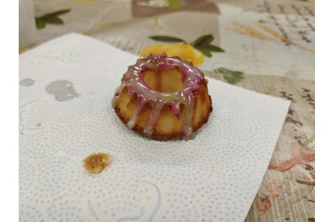 Warsztaty edukacyjno-przyrodnicze dla dzieci „Tajemnica kolorowych roślin”