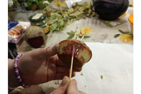 Warsztaty edukacyjno-przyrodnicze dla dzieci „Tajemnica kolorowych roślin”