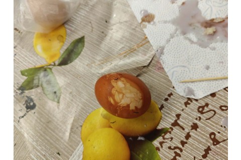 Warsztaty edukacyjno-przyrodnicze dla dzieci „Tajemnica kolorowych roślin”