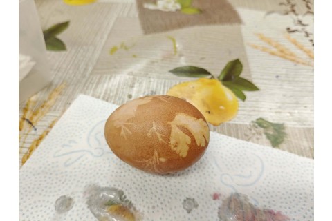 Warsztaty edukacyjno-przyrodnicze dla dzieci „Tajemnica kolorowych roślin”