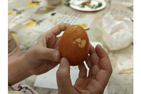 Warsztaty edukacyjno-przyrodnicze dla dzieci „Tajemnica kolorowych roślin”