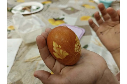 Warsztaty edukacyjno-przyrodnicze dla dzieci „Tajemnica kolorowych roślin”