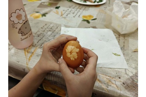 Warsztaty edukacyjno-przyrodnicze dla dzieci „Tajemnica kolorowych roślin”