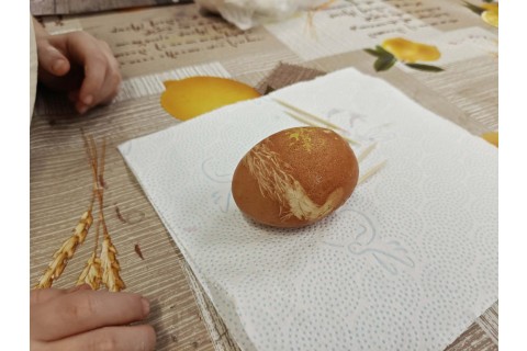 Warsztaty edukacyjno-przyrodnicze dla dzieci „Tajemnica kolorowych roślin”