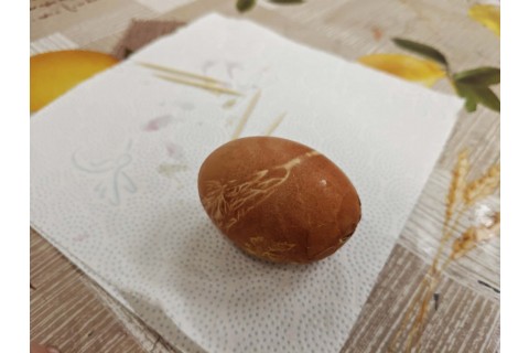 Warsztaty edukacyjno-przyrodnicze dla dzieci „Tajemnica kolorowych roślin”