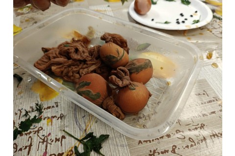 Warsztaty edukacyjno-przyrodnicze dla dzieci „Tajemnica kolorowych roślin”