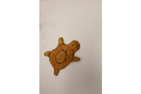 Zajęcia plastyczne dla dzieci 8 -12 lat