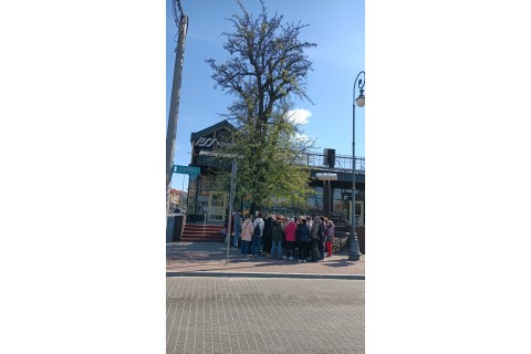 Spacer Seniorów po Białymstoku - Szlakiem Białostockich Widzimisiów
