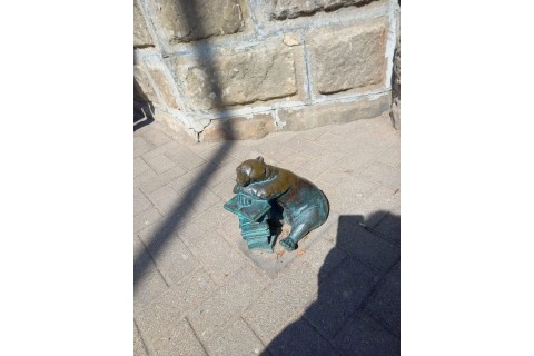 Spacer Seniorów po Białymstoku - Szlakiem Białostockich Widzimisiów