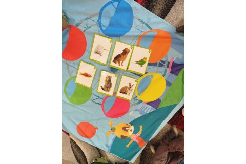 Zajęcia j. angielskiego dla dzieci 5 - 6 lat