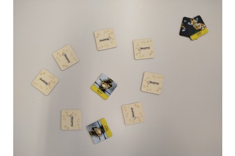 Zajęcia j. angielskiego dla Seniorów