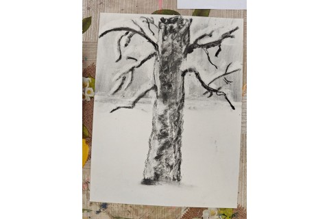 Warsztaty malarstwa dla seniorów - rysunek węglem