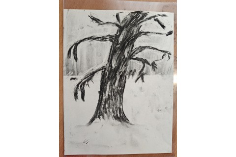 Warsztaty malarstwa dla seniorów - rysunek węglem