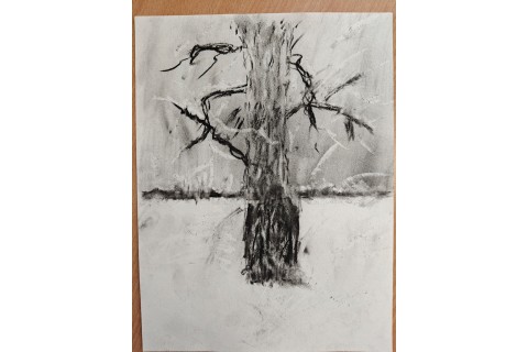 Warsztaty malarstwa dla seniorów - rysunek węglem