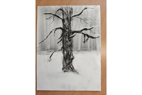 Warsztaty malarstwa dla seniorów - rysunek węglem