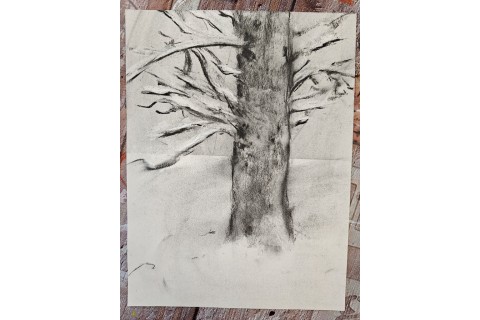 Warsztaty malarstwa dla seniorów - rysunek węglem