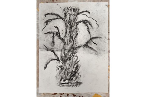 Warsztaty malarstwa dla seniorów - rysunek węglem