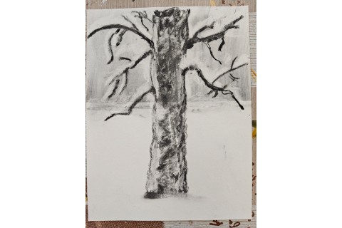 Warsztaty malarstwa dla seniorów - rysunek węglem