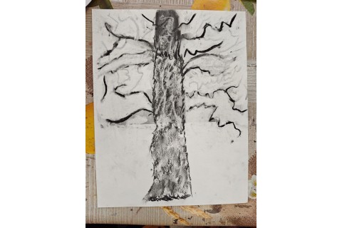 Warsztaty malarstwa dla seniorów - rysunek węglem