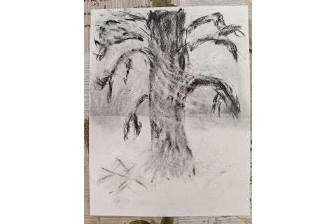 Warsztaty malarstwa dla seniorów - rysunek węglem