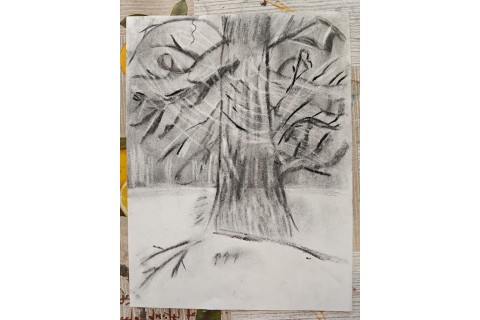 Warsztaty malarstwa dla seniorów - rysunek węglem