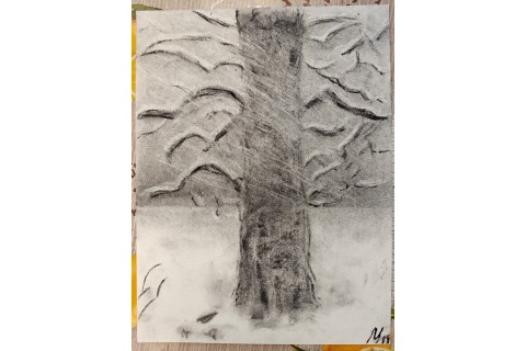 Warsztaty malarstwa dla seniorów - rysunek węglem