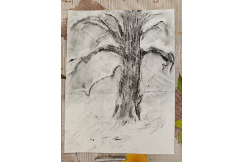 Warsztaty malarstwa dla seniorów - rysunek węglem