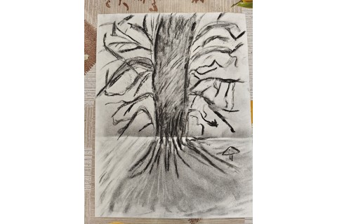 Warsztaty malarstwa dla seniorów - rysunek węglem