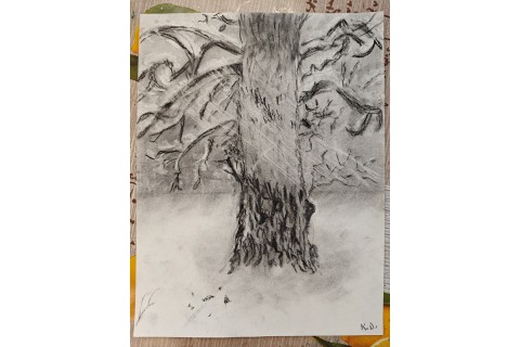 Warsztaty malarstwa dla seniorów - rysunek węglem