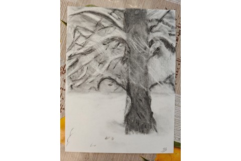 Warsztaty malarstwa dla seniorów - rysunek węglem