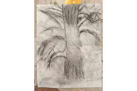 Warsztaty malarstwa dla seniorów - rysunek węglem