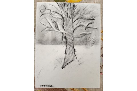 Warsztaty malarstwa dla seniorów - rysunek węglem