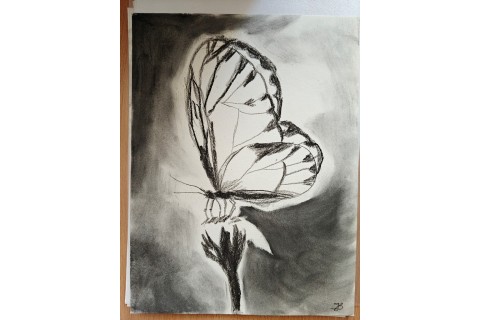 Warsztaty malarstwa dla seniorów - rysunek węglem