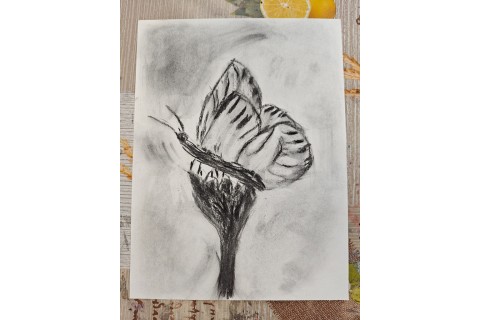 Warsztaty malarstwa dla seniorów - rysunek węglem