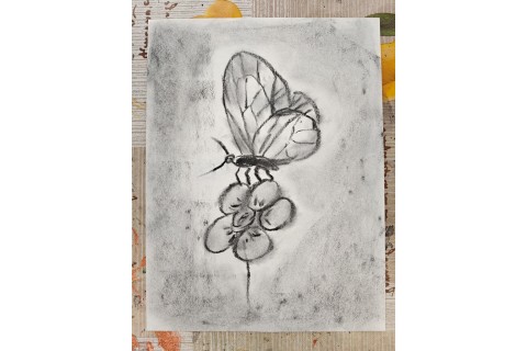 Warsztaty malarstwa dla seniorów - rysunek węglem