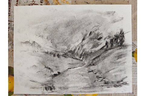 Warsztaty malarstwa dla seniorów - rysunek węglem