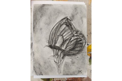 Warsztaty malarstwa dla seniorów - rysunek węglem