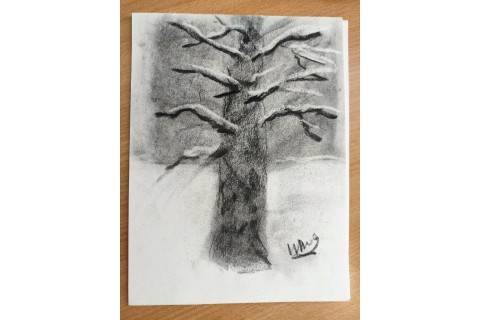 Warsztaty malarstwa dla seniorów - rysunek węglem