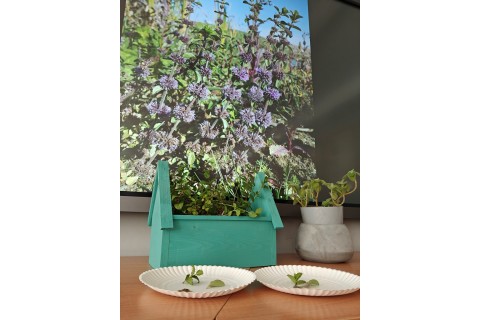 Warsztaty edukacyjno-przyrodnicze dla dzieci „Zielona baza małego ogrodnika”