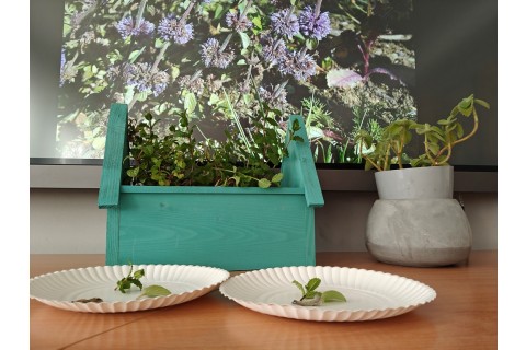 Warsztaty edukacyjno-przyrodnicze dla dzieci „Zielona baza małego ogrodnika”