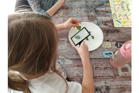 Warsztaty edukacyjno-przyrodnicze dla dzieci „Zielona baza małego ogrodnika”