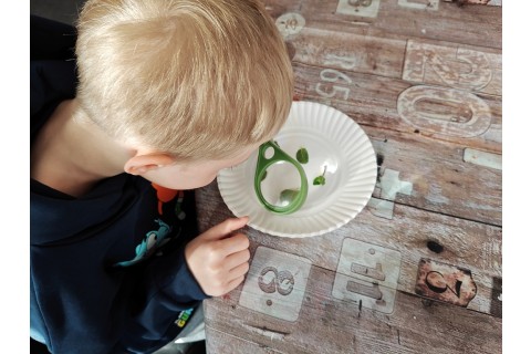 Warsztaty edukacyjno-przyrodnicze dla dzieci „Zielona baza małego ogrodnika”