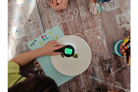 Warsztaty edukacyjno-przyrodnicze dla dzieci „Zielona baza małego ogrodnika”