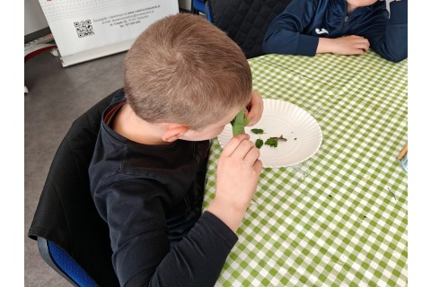 Warsztaty edukacyjno-przyrodnicze dla dzieci „Zielona baza małego ogrodnika”